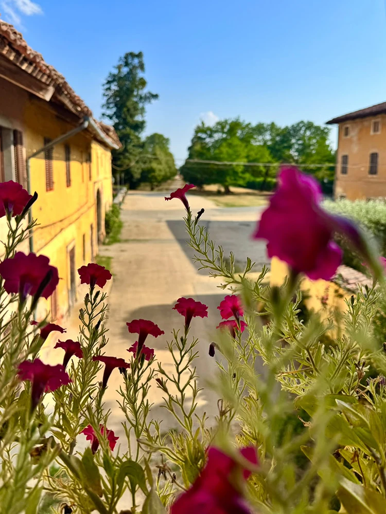 borgo cornalese2